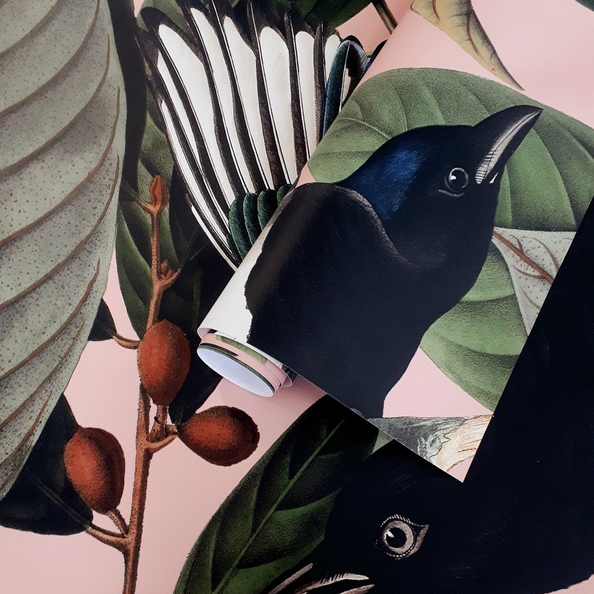 Wallcolors | Magpie Wallcolors | Magpie