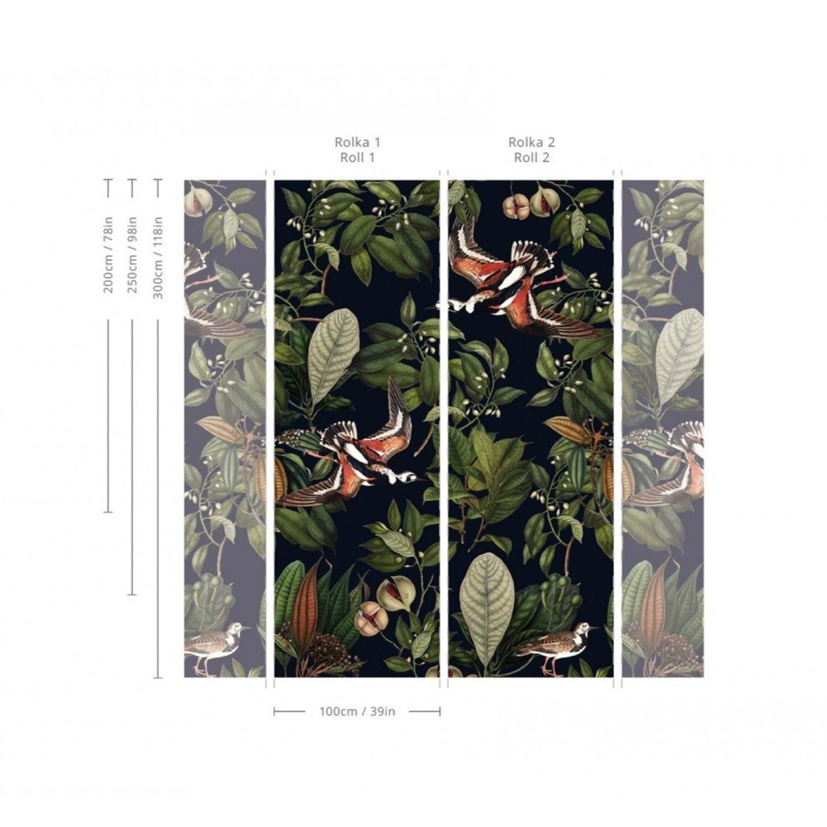 Wallcolors | Orange Bird Wallcolors | Orange Bird