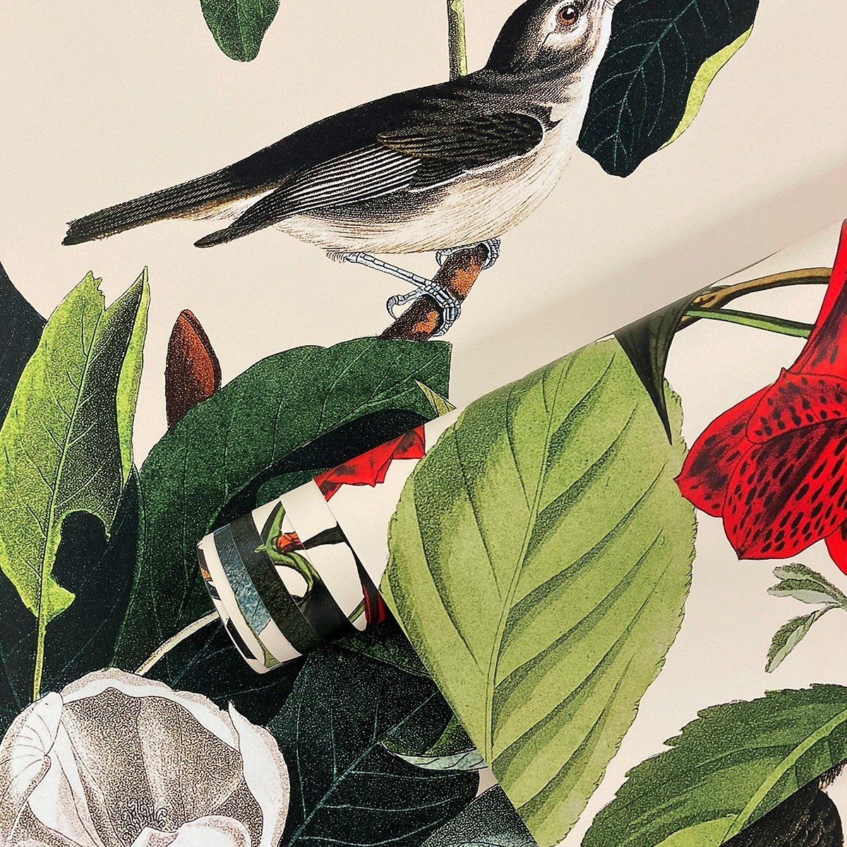 Wallcolors | The Jungle Book Wallcolors | The Jungle Book