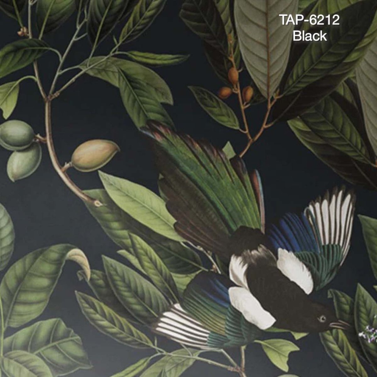 Wallcolors | Magpie Wallcolors | Magpie