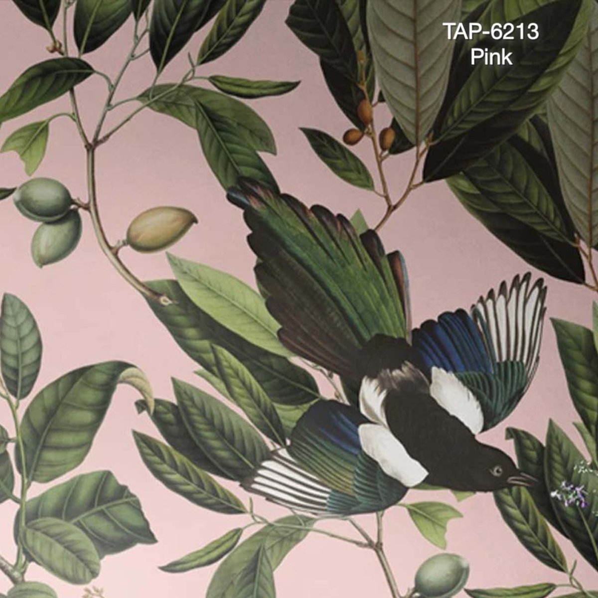 Wallcolors | Magpie Wallcolors | Magpie