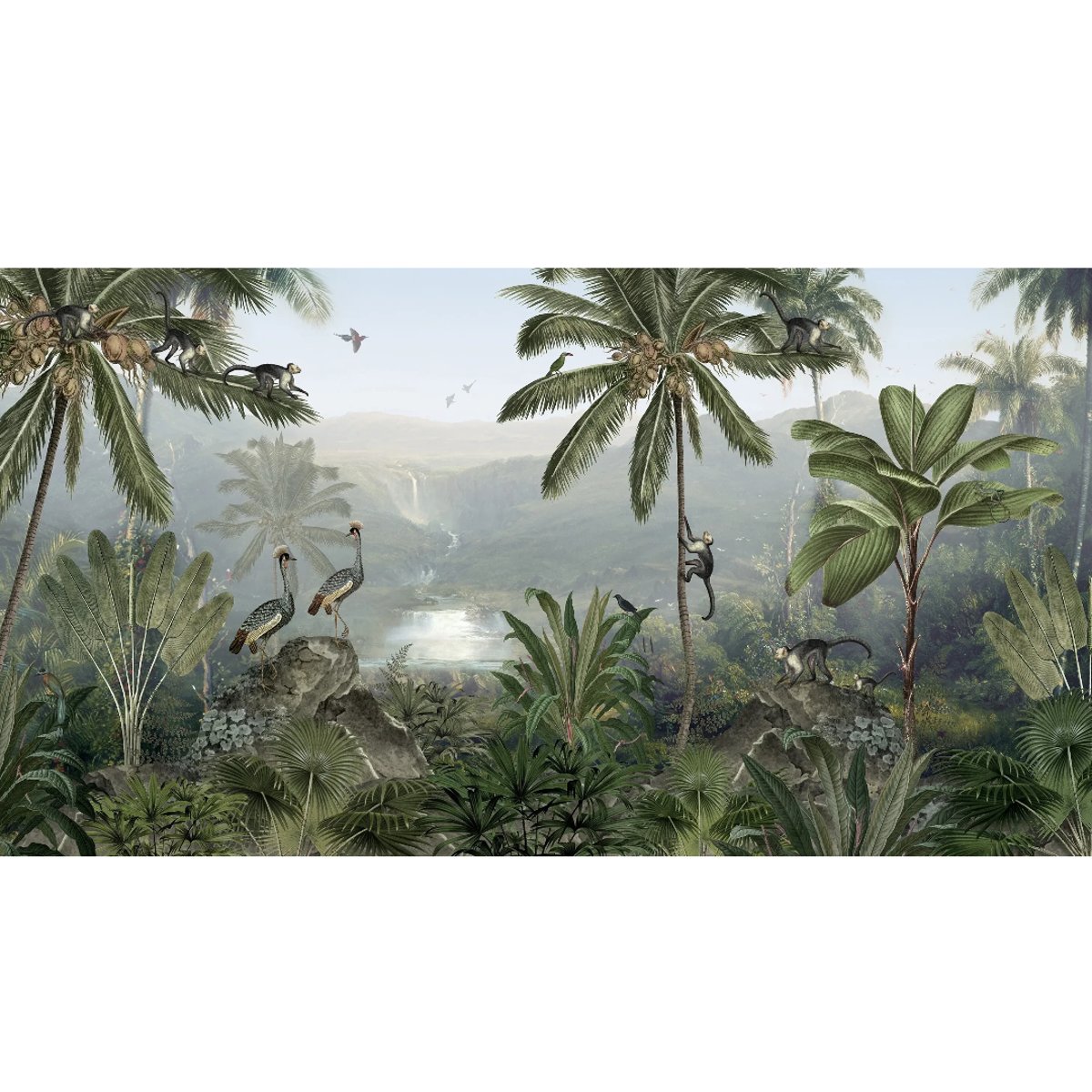 Sir Edward | Monkey Sanctuary Sir Edward | Monkey Sanctuary