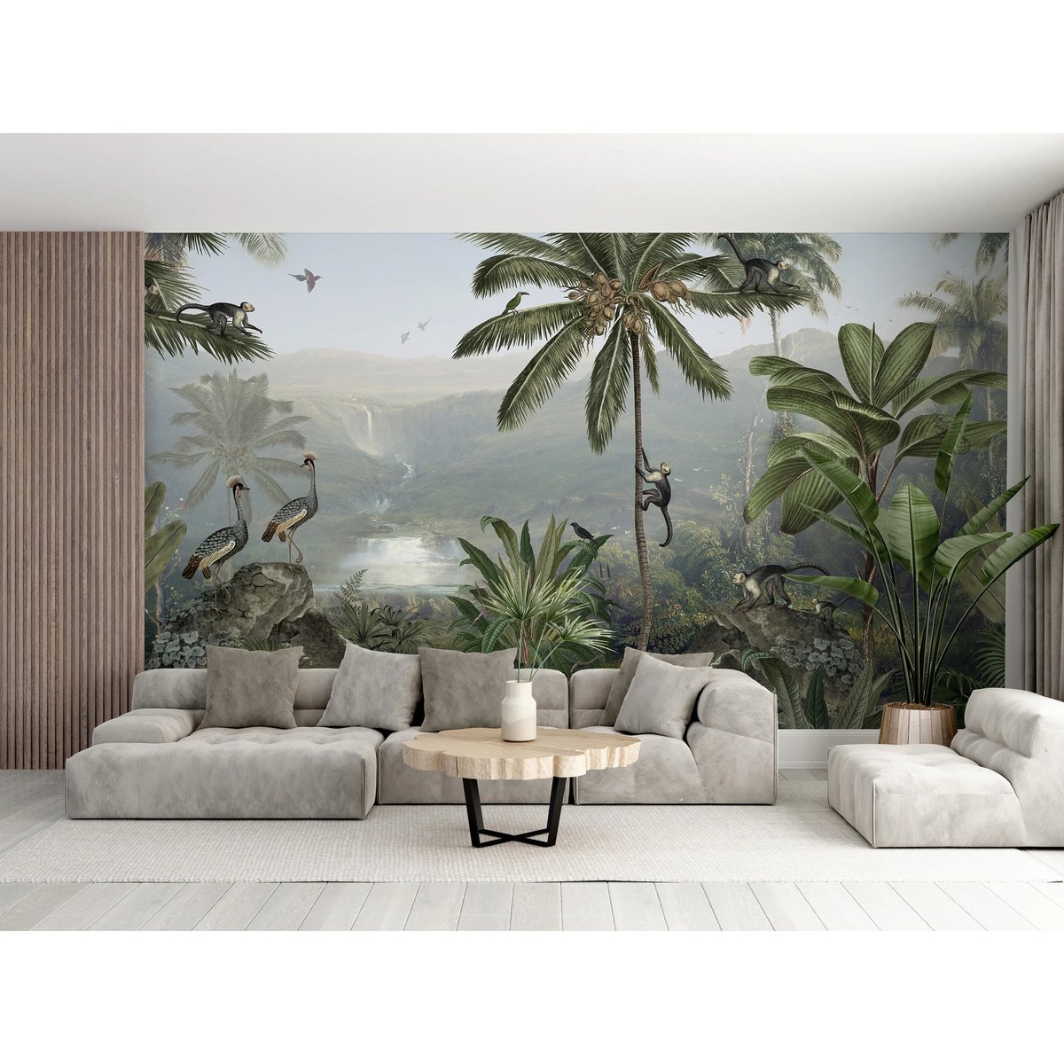 Sir Edward | Monkey Sanctuary Sir Edward | Monkey Sanctuary