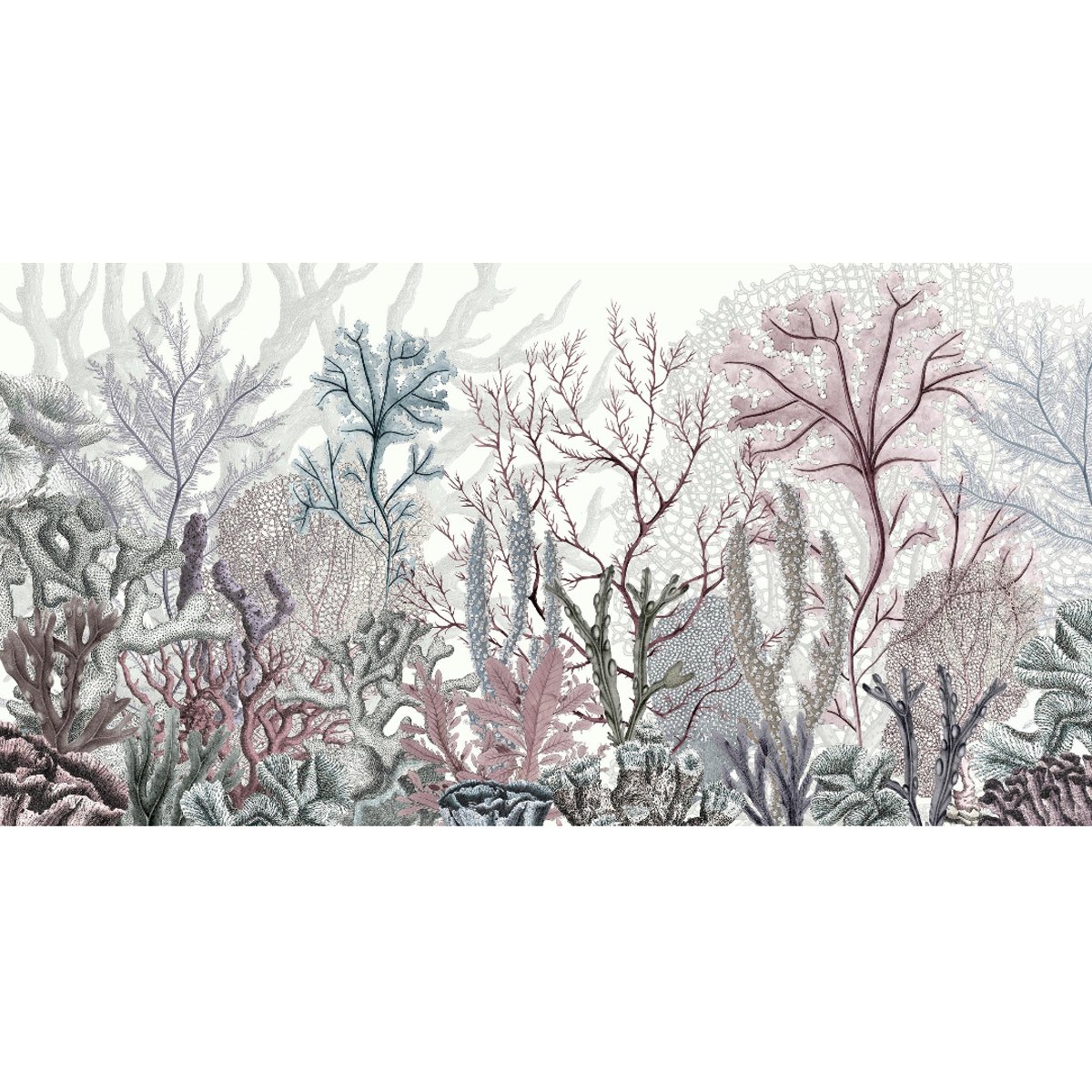 Sir Edward | Ocean Wonders Sir Edward | Ocean Wonders