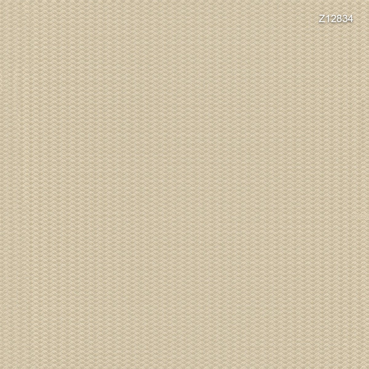 Zambaiti | Automobili Lamborghini V Zambaiti | Automobili Lamborghini V