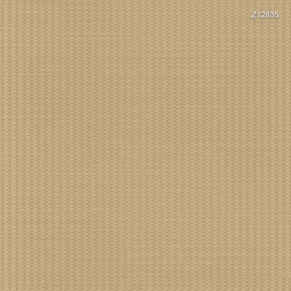 Zambaiti | Automobili Lamborghini V Zambaiti | Automobili Lamborghini V