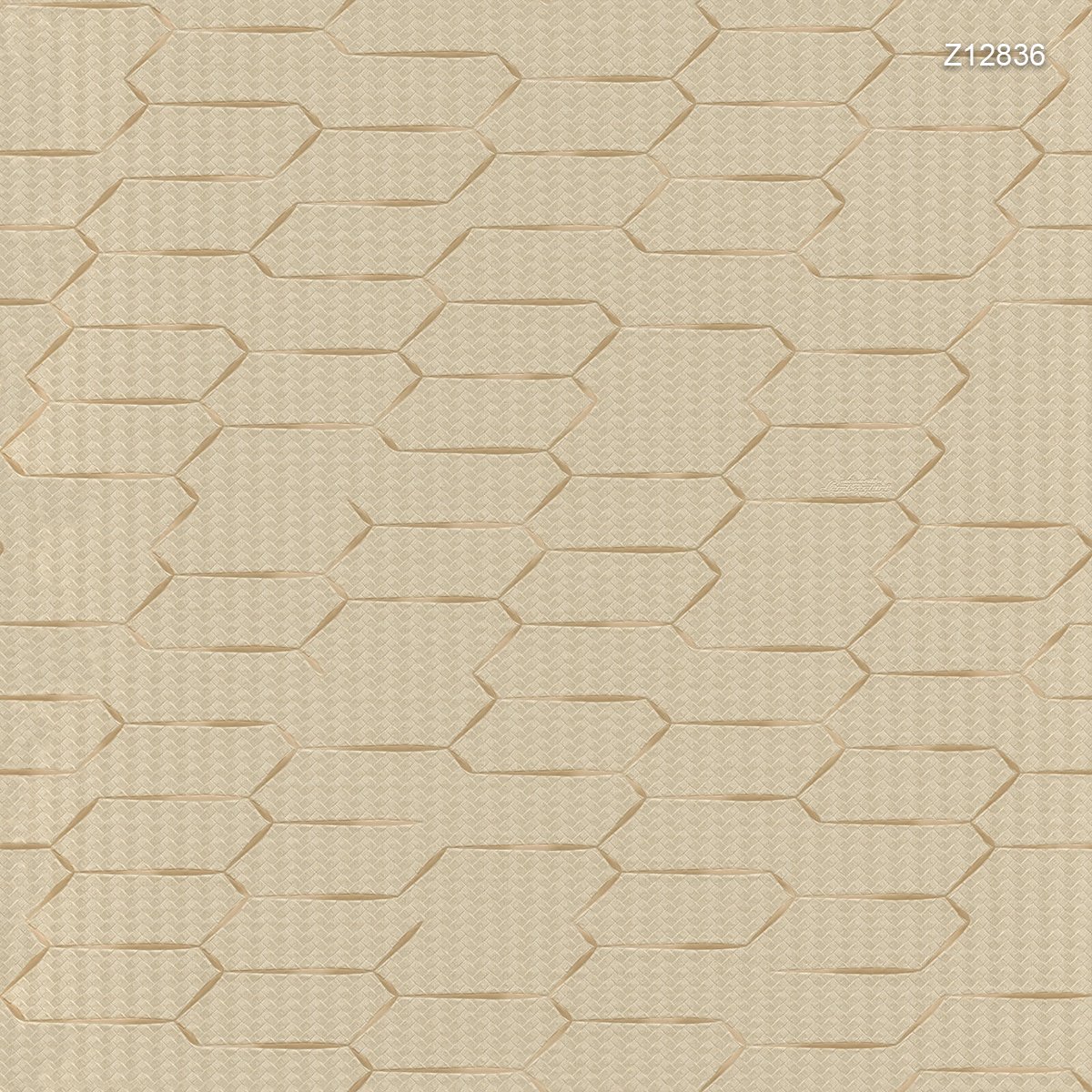 Zambaiti | Automobili Lamborghini V Zambaiti | Automobili Lamborghini V