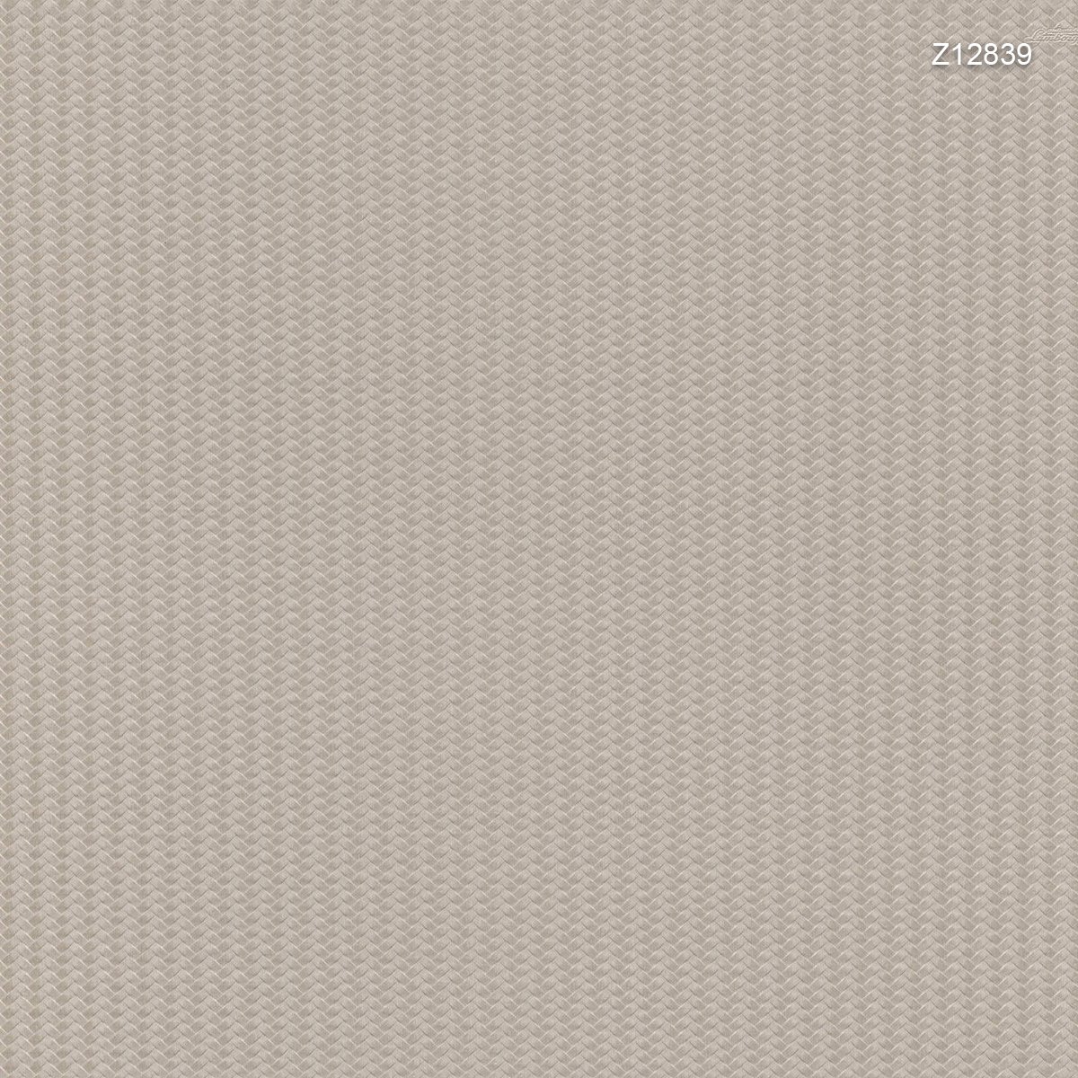 Zambaiti | Automobili Lamborghini V Zambaiti | Automobili Lamborghini V