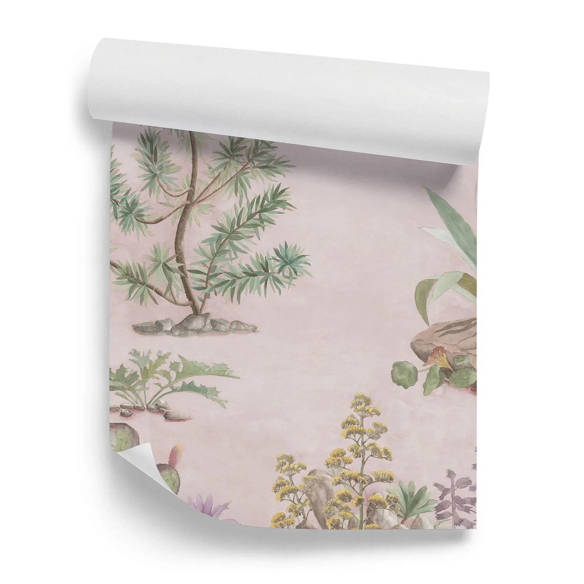 Classic Desert Pink Sand | Sian Zeng Classic Desert Pink Sand | Sian Zeng