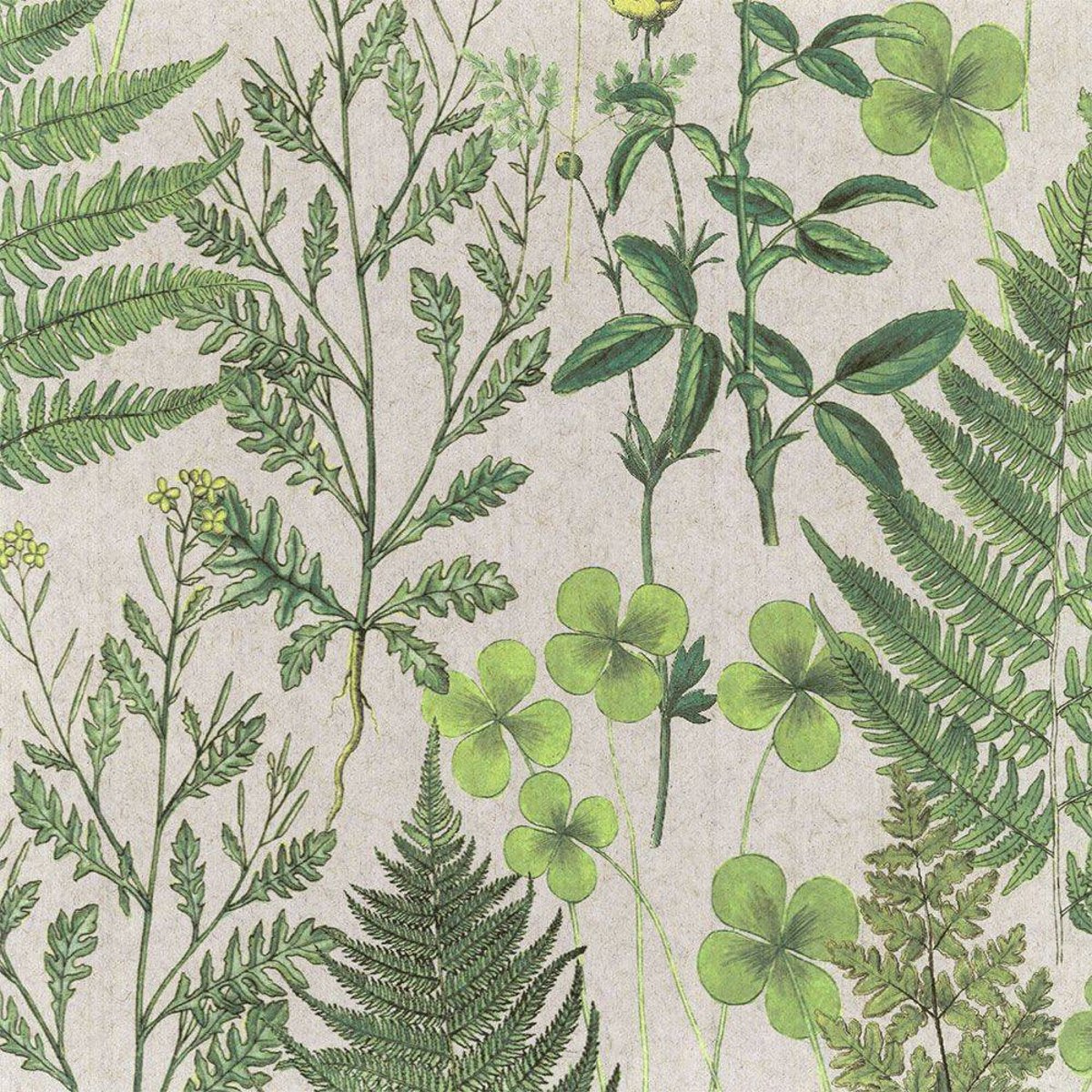 FLAX WALLPAPER | Botanical | FWP-BTN-02 FLAX WALLPAPER | Botanical | FWP-BTN-02