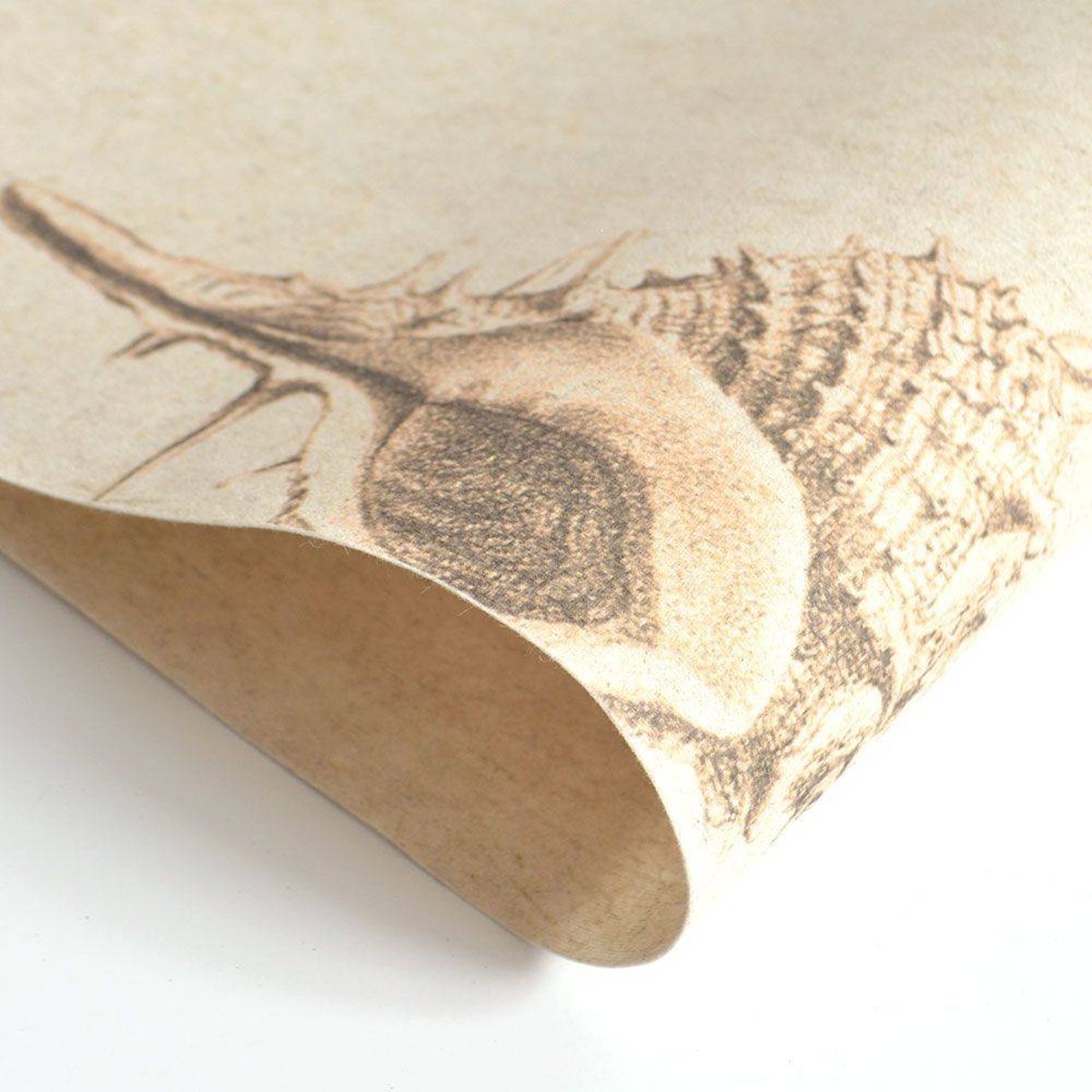 FLAX WALLPAPER | Shell Picture Book | FWP-ENC-03 FLAX WALLPAPER | Shell Picture Book | FWP-ENC-03