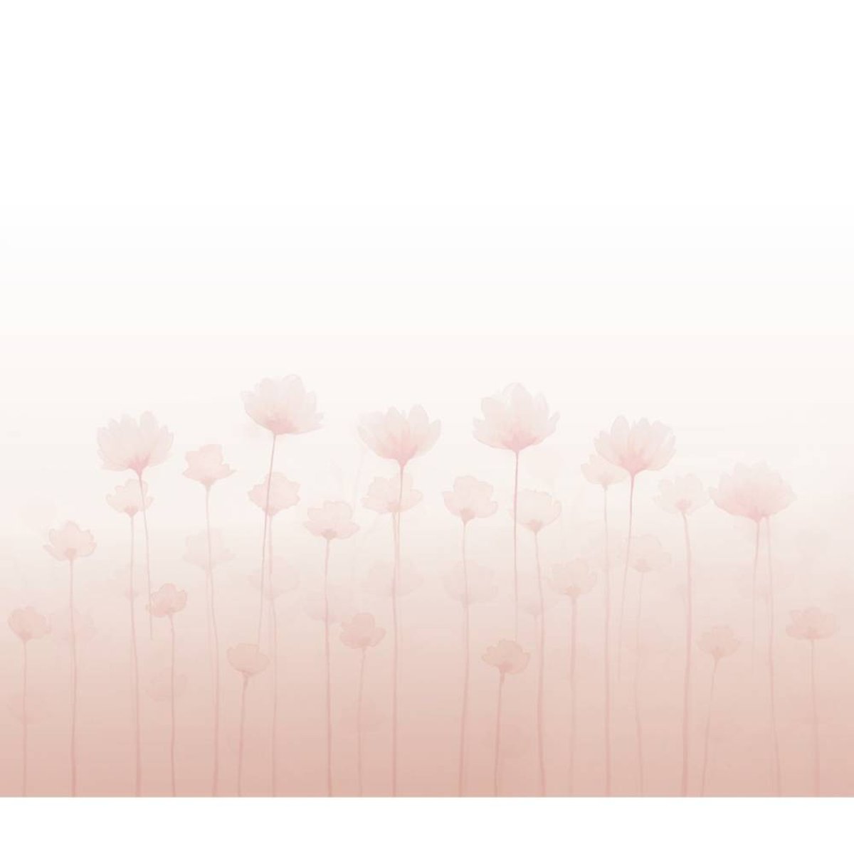 Honpo | Gradation | Carnation, Blush | HG-006 Honpo | Gradation | Carnation, Blush | HG-006