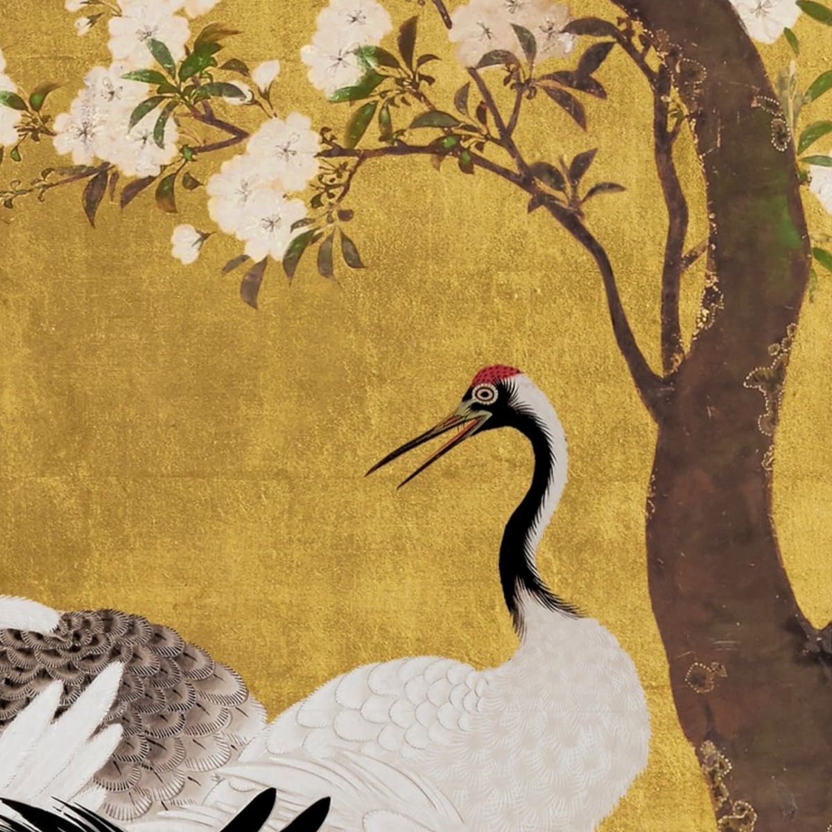 Honpo | Ancient Harmony Honpo | Ancient Harmony