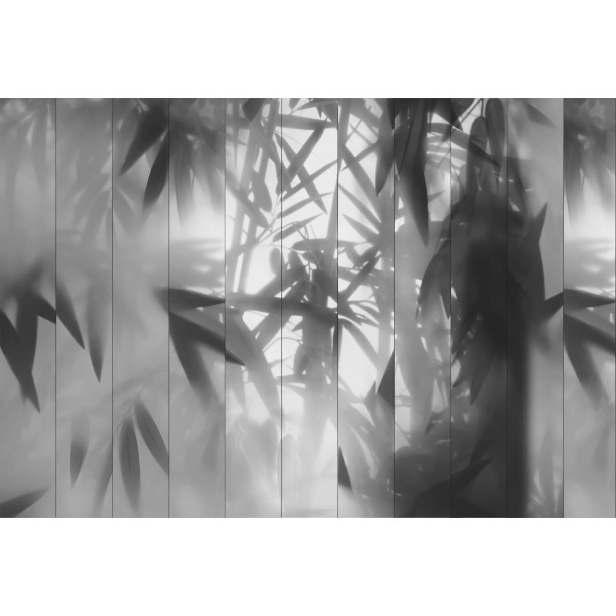 Honpo | Bamboo Mist Honpo | Bamboo Mist