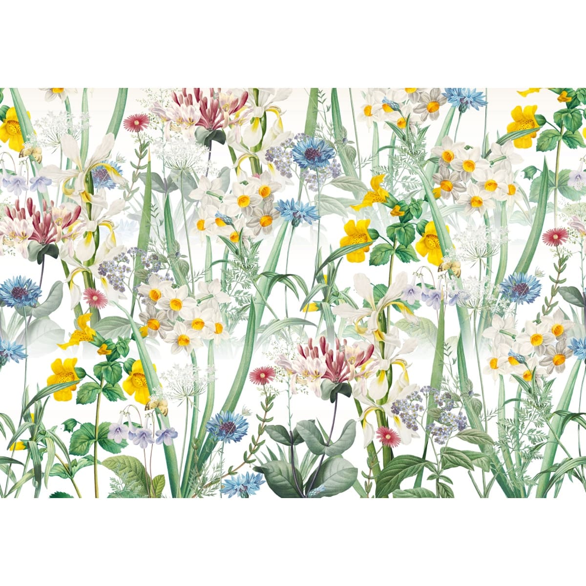 Honpo | Gentle Bloom Field Honpo | Gentle Bloom Field