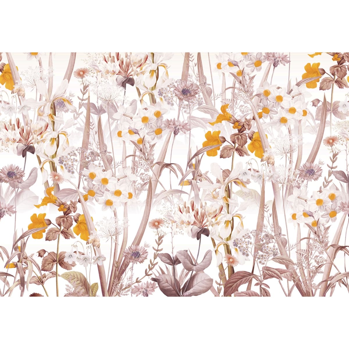 Honpo | Gentle Bloom Field Honpo | Gentle Bloom Field