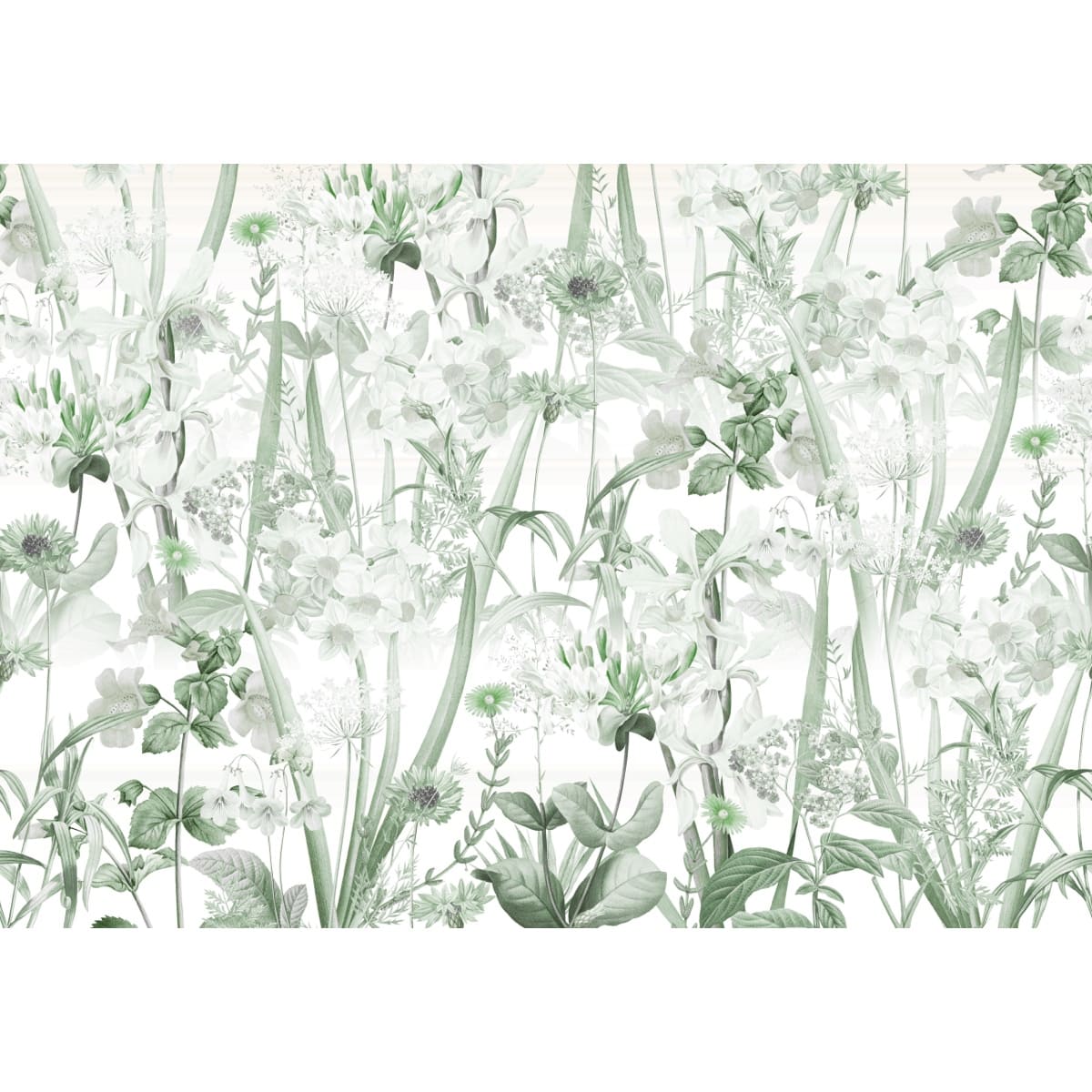 Honpo | Gentle Bloom Field Honpo | Gentle Bloom Field