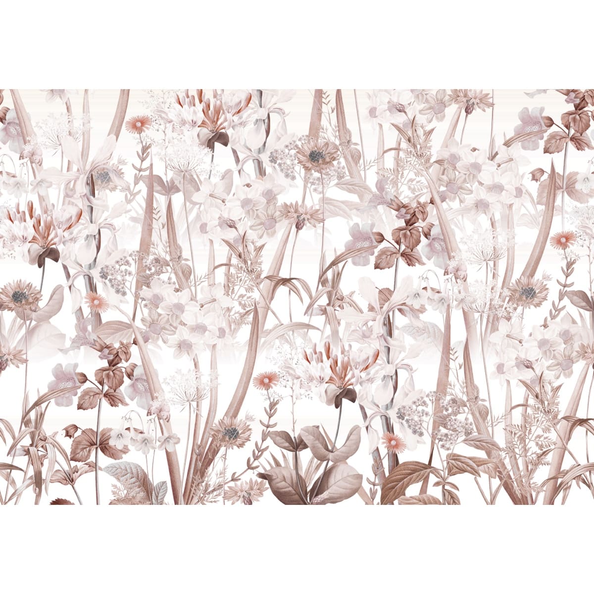 Honpo | Gentle Bloom Field Honpo | Gentle Bloom Field