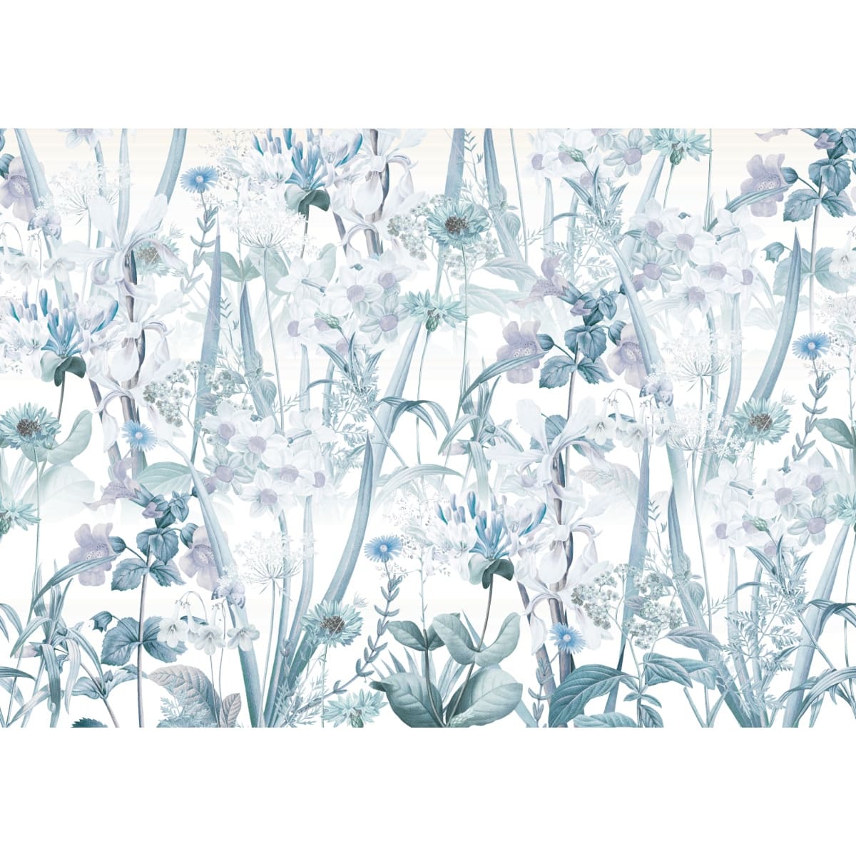 Honpo | Gentle Bloom Field Honpo | Gentle Bloom Field