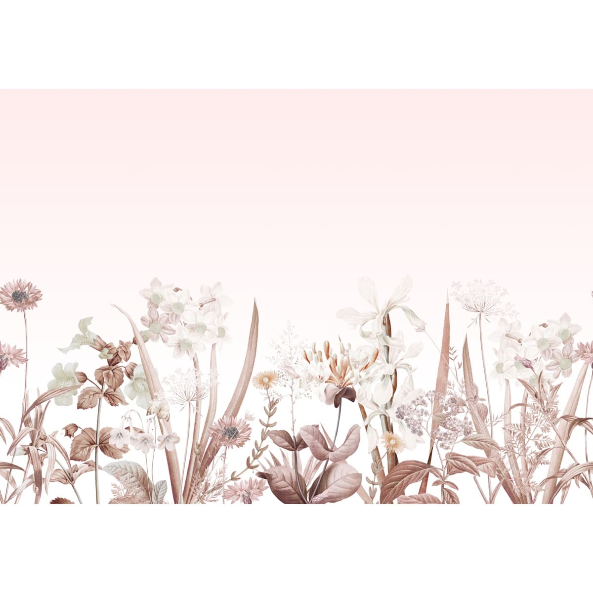 Honpo | Gentle Bloom Honpo | Gentle Bloom