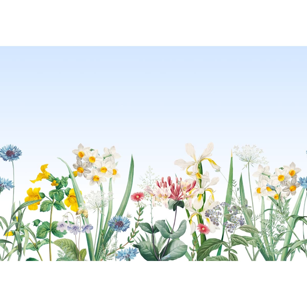 Honpo | Gentle Bloom Honpo | Gentle Bloom