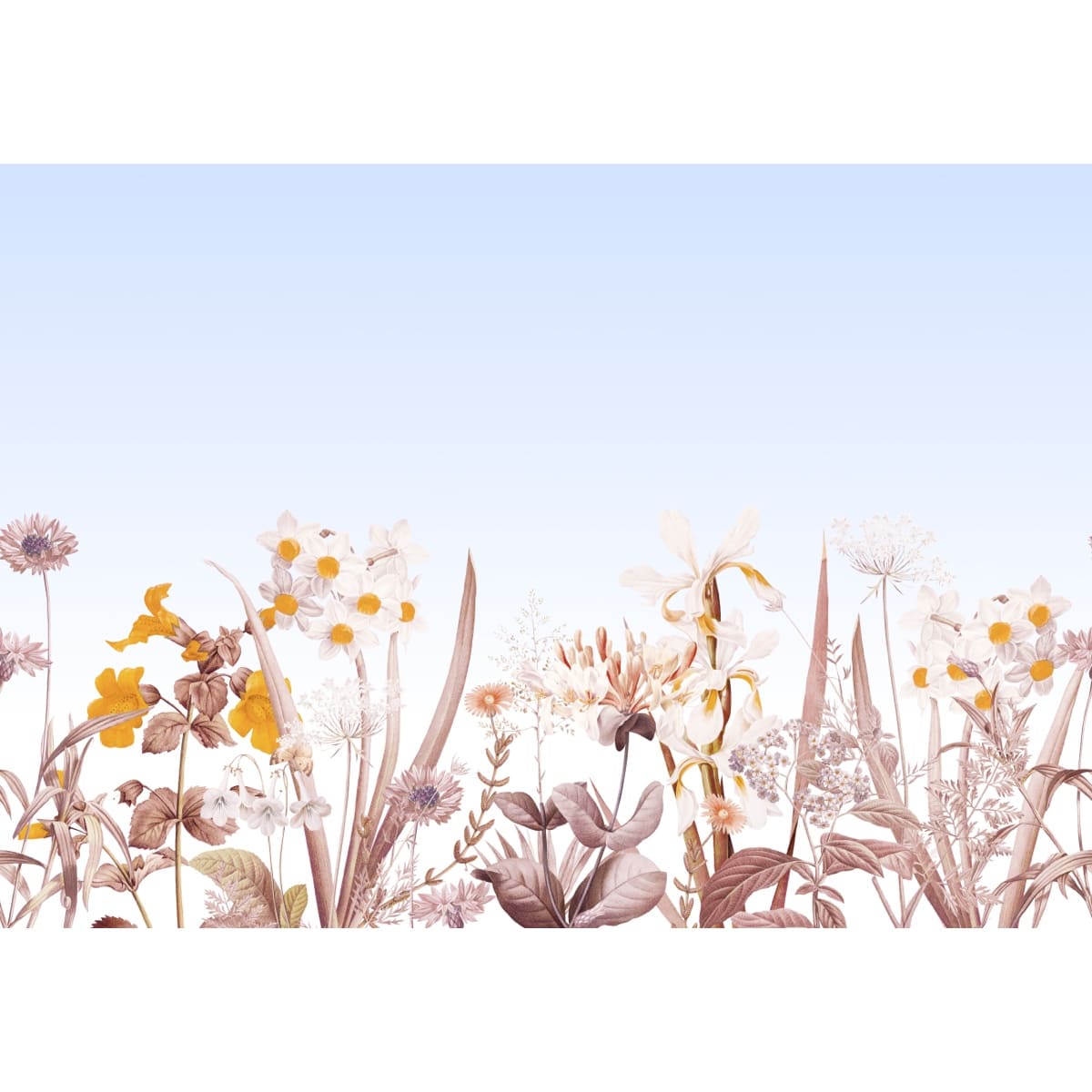 Honpo | Gentle Bloom Honpo | Gentle Bloom