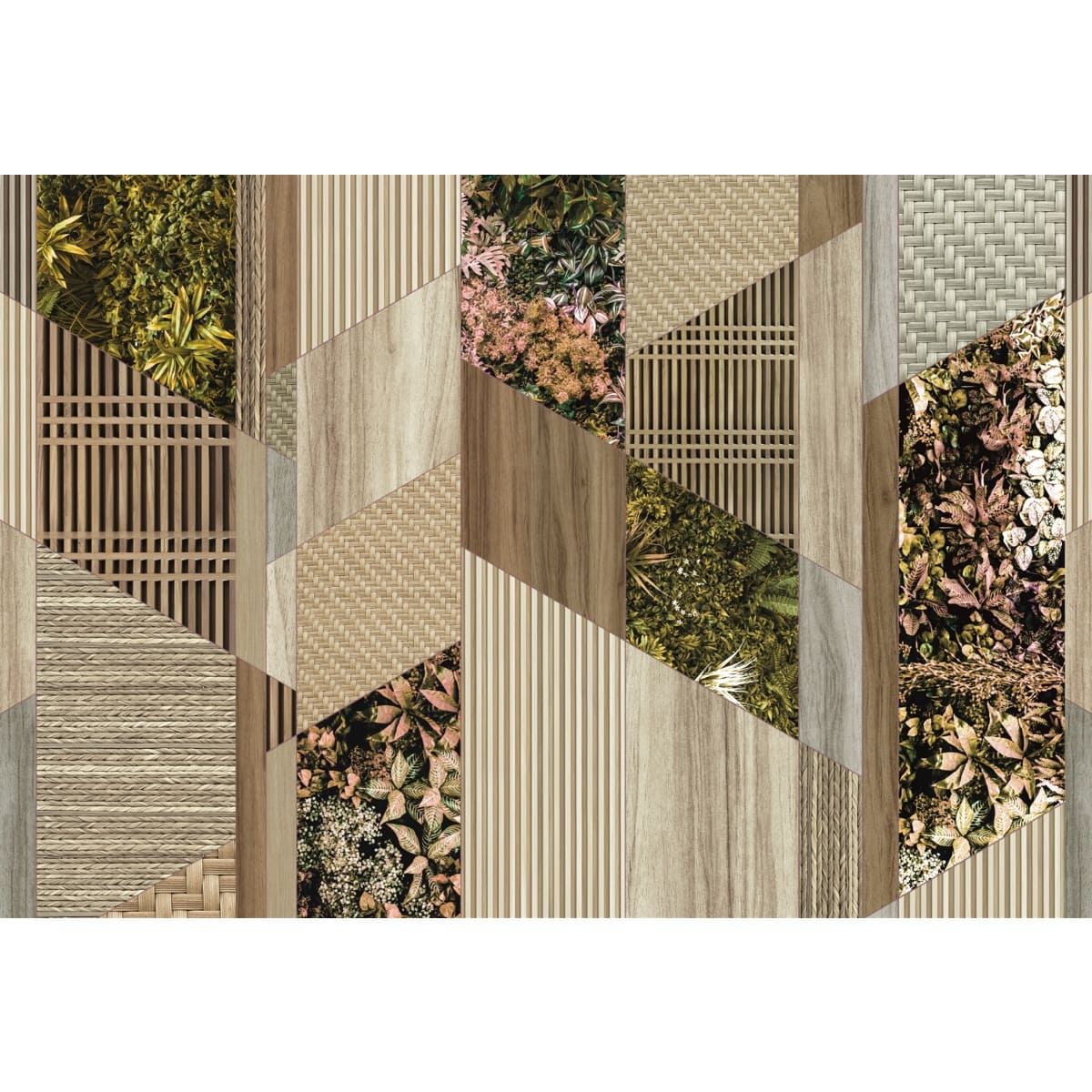 Honpo | Green Axis Honpo | Green Axis