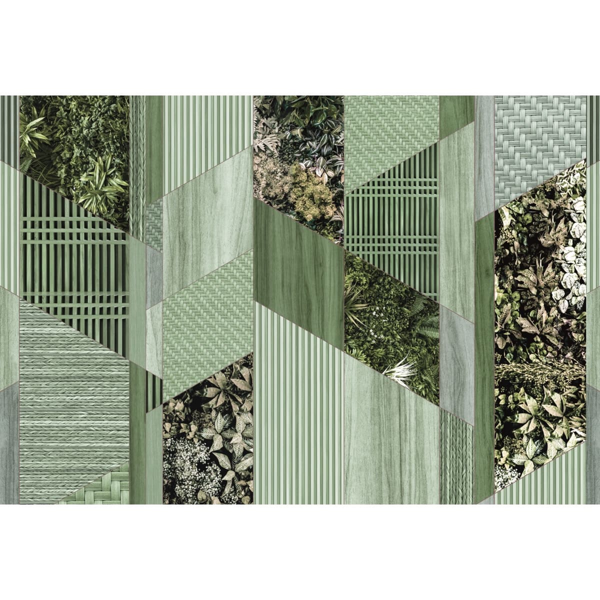 Honpo | Green Axis Honpo | Green Axis