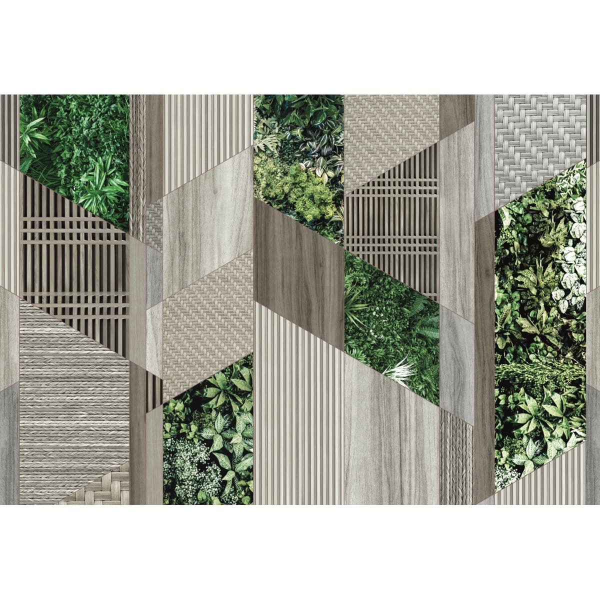 Honpo | Green Axis Honpo | Green Axis