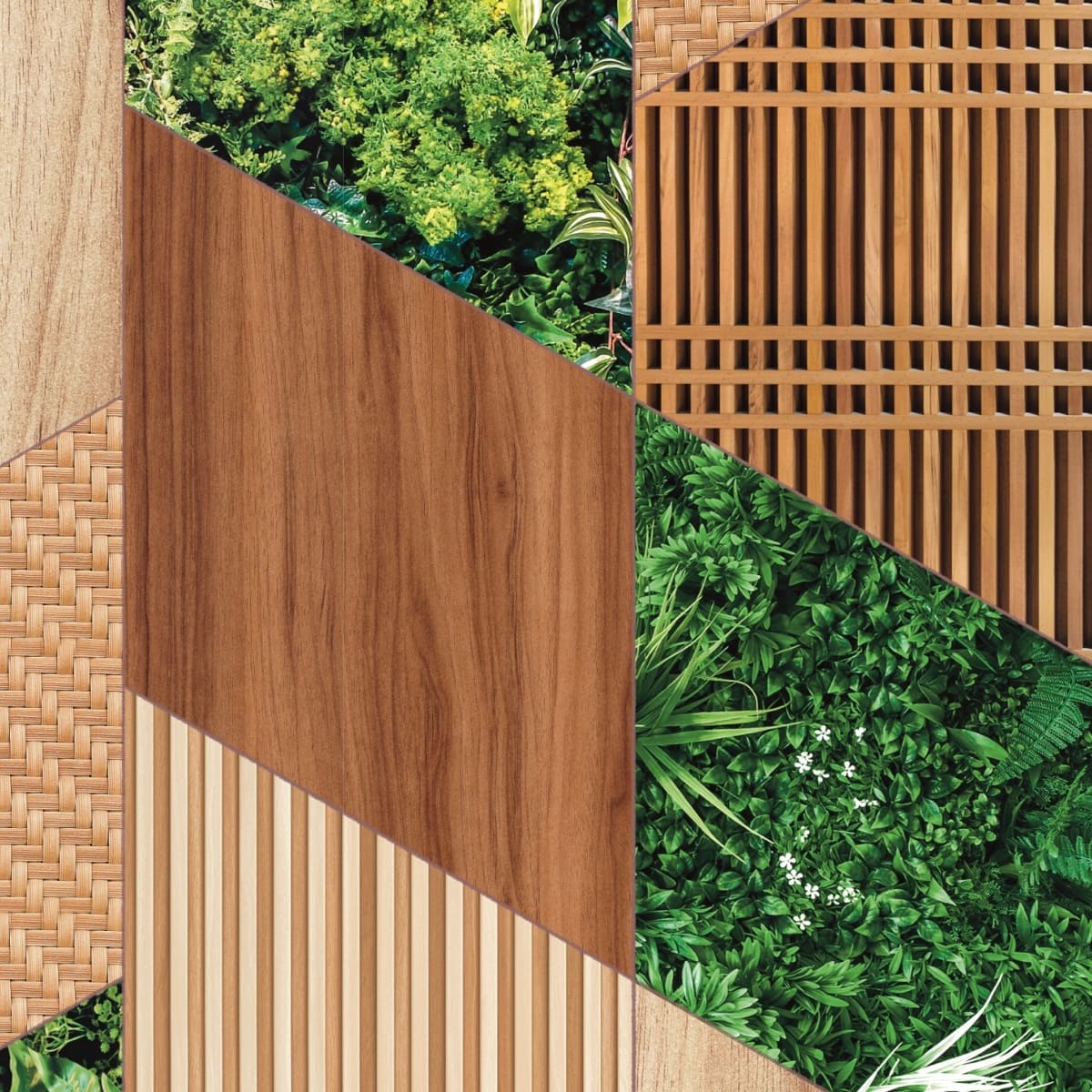 Honpo | Green Axis Honpo | Green Axis