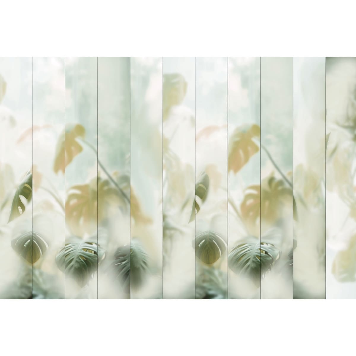 Honpo | Misted Monstera Honpo | Misted Monstera