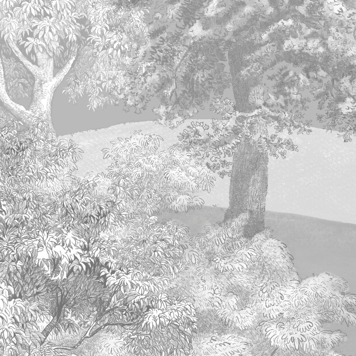 Honpo | Toned Terrain, Pastel Honpo | Toned Terrain, Pastel