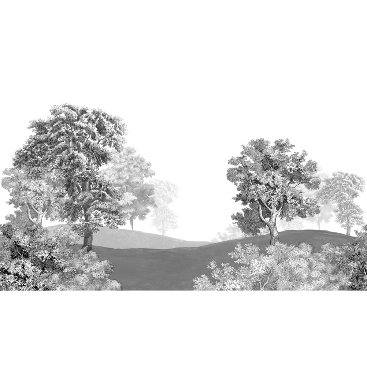 Honpo | Toned Terrain Honpo | Toned Terrain