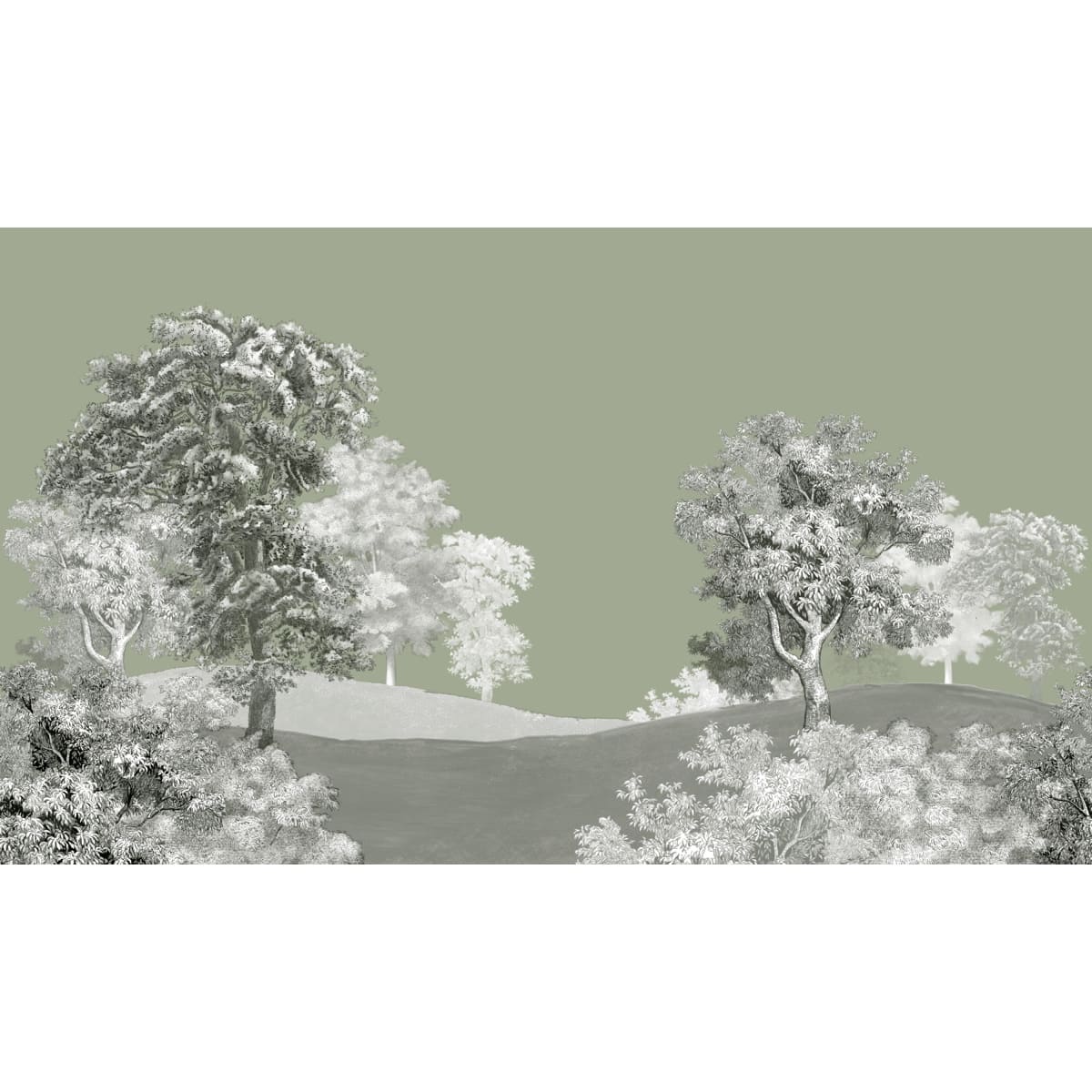 Honpo | Toned Terrain Honpo | Toned Terrain