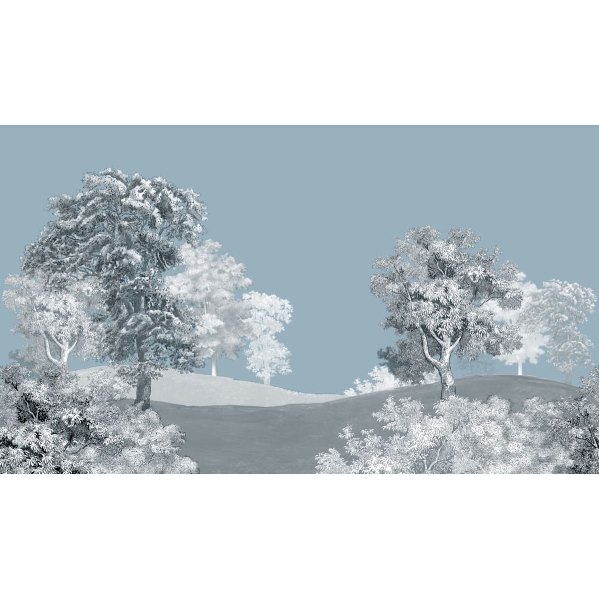 Honpo | Toned Terrain Honpo | Toned Terrain