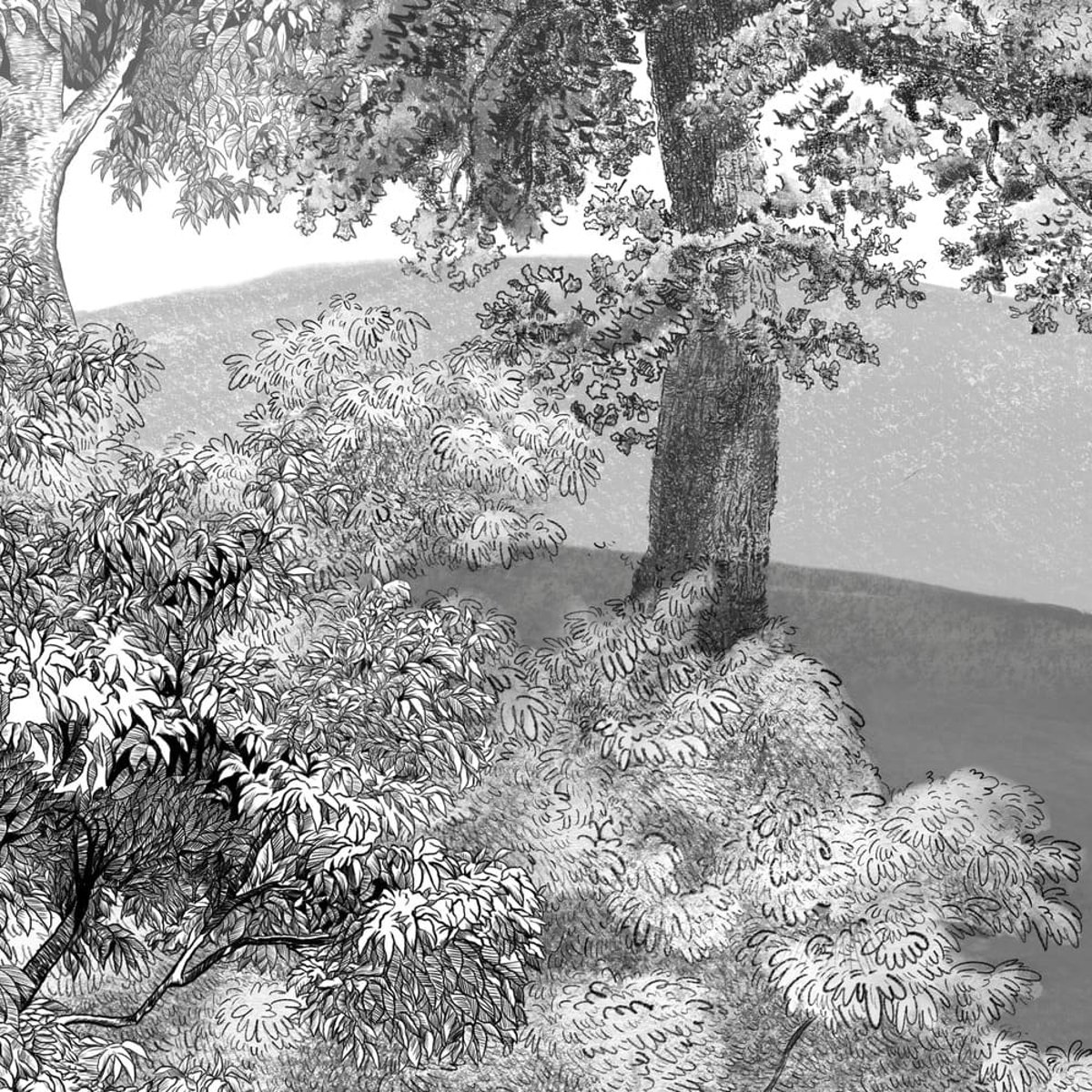 Honpo | Toned Terrain Honpo | Toned Terrain