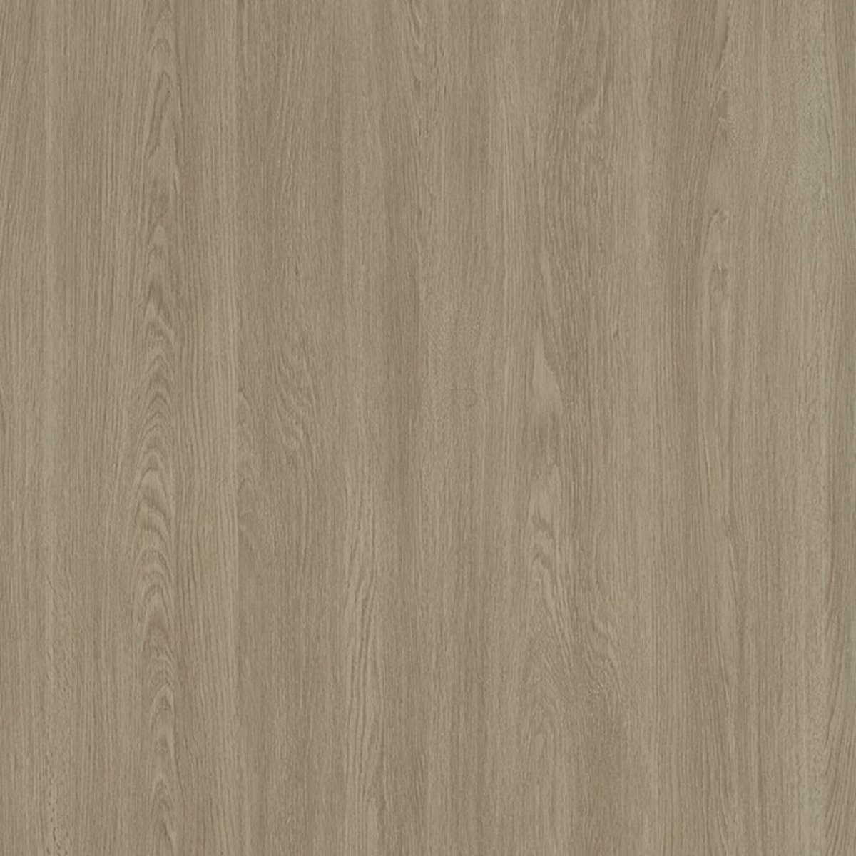 INFEEL / Luxury Wood / LW097 INFEEL / Luxury Wood / LW097