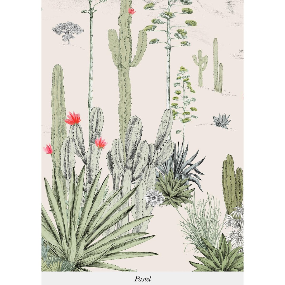 Isidore Leroy | Succulents Isidore Leroy | Succulents