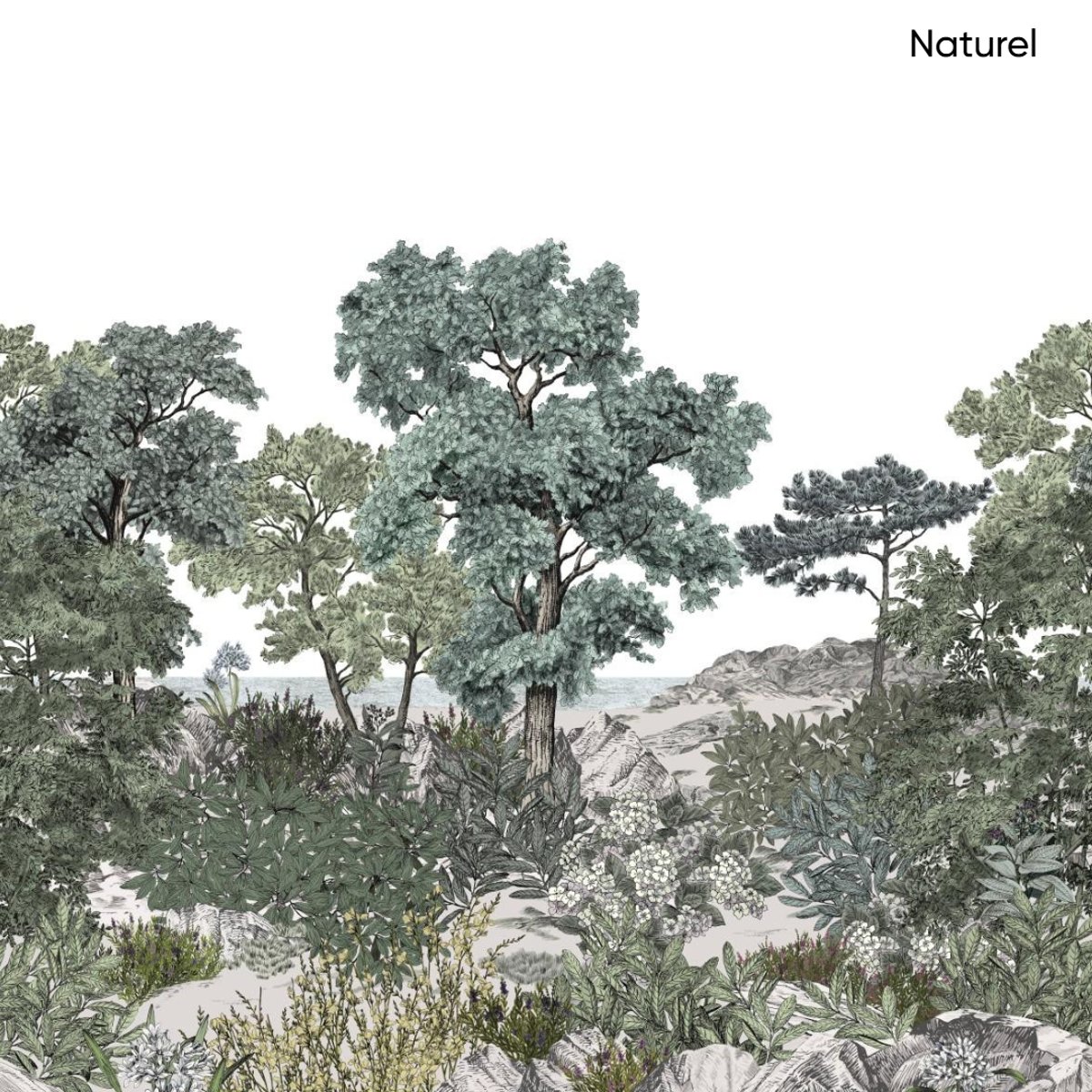 Isidore Leroy | Forêt de Bretagne Isidore Leroy | Forêt de Bretagne