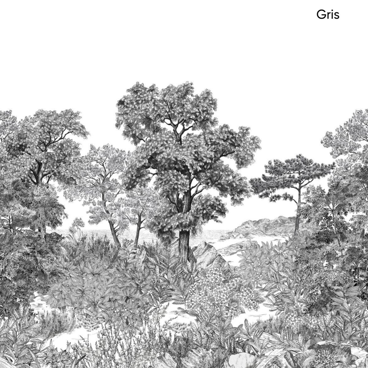 Isidore Leroy | Forêt de Bretagne Isidore Leroy | Forêt de Bretagne