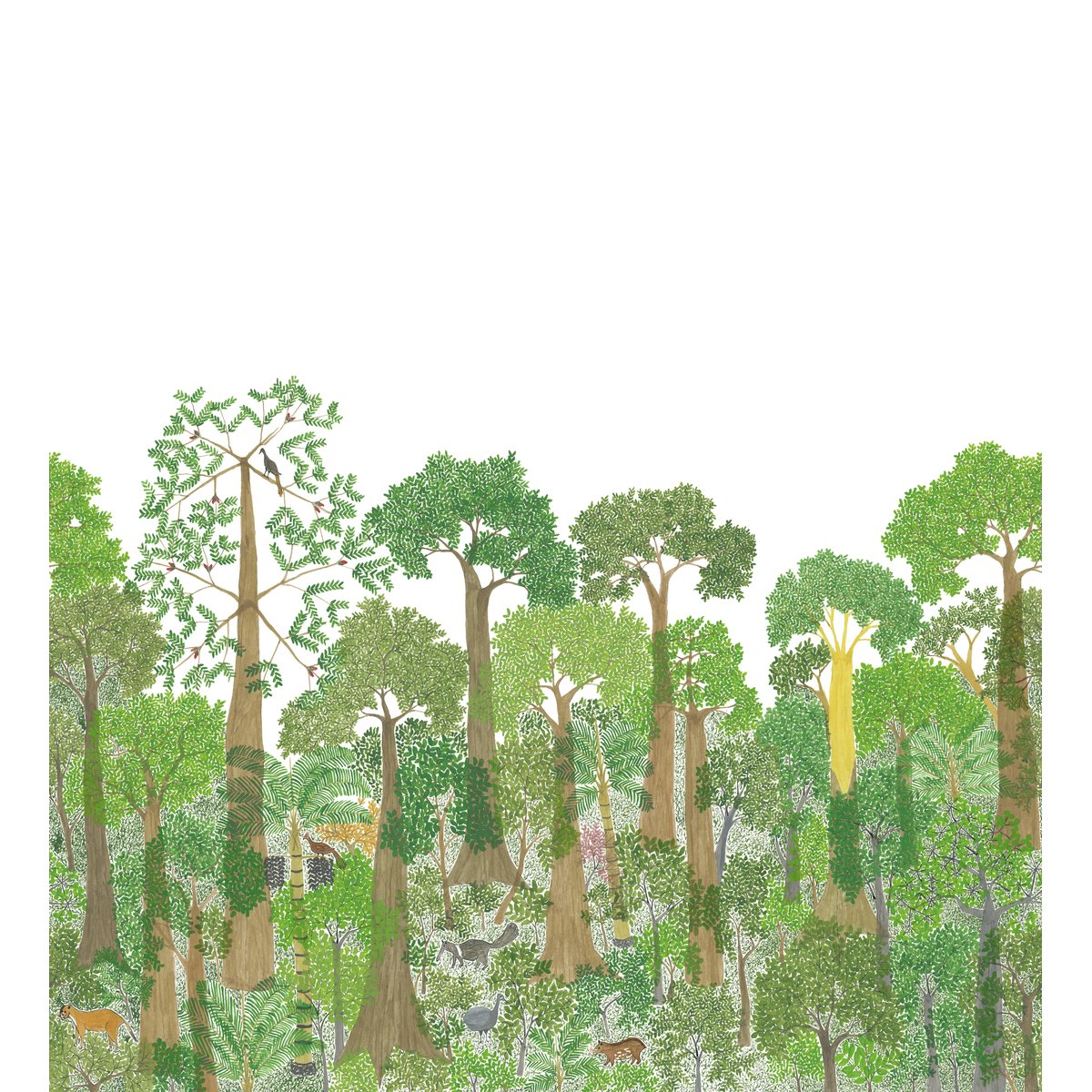 Isidore Leroy | Isio Bajii Isidore Leroy | Isio Bajii