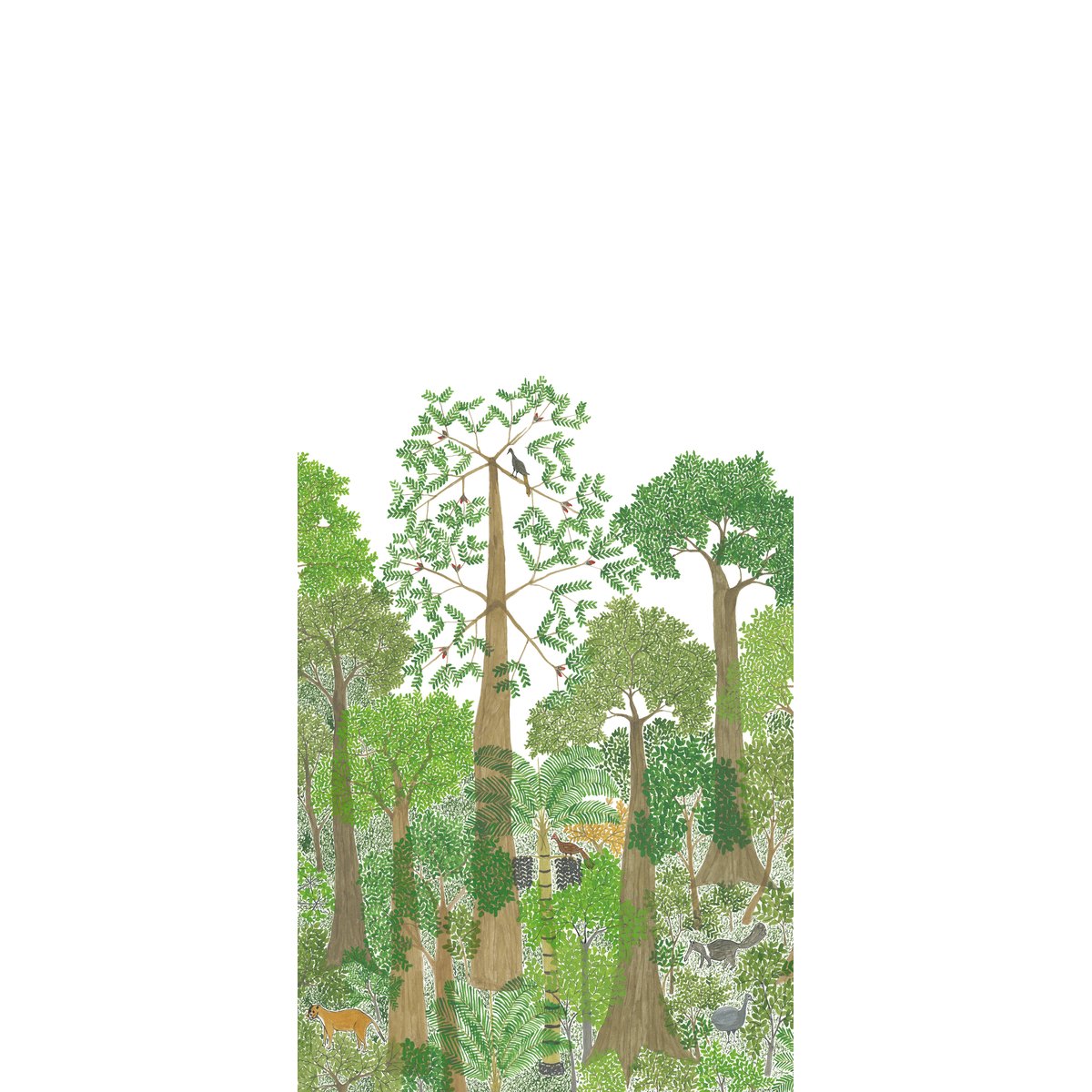 Isidore Leroy | Isio Bajii Isidore Leroy | Isio Bajii