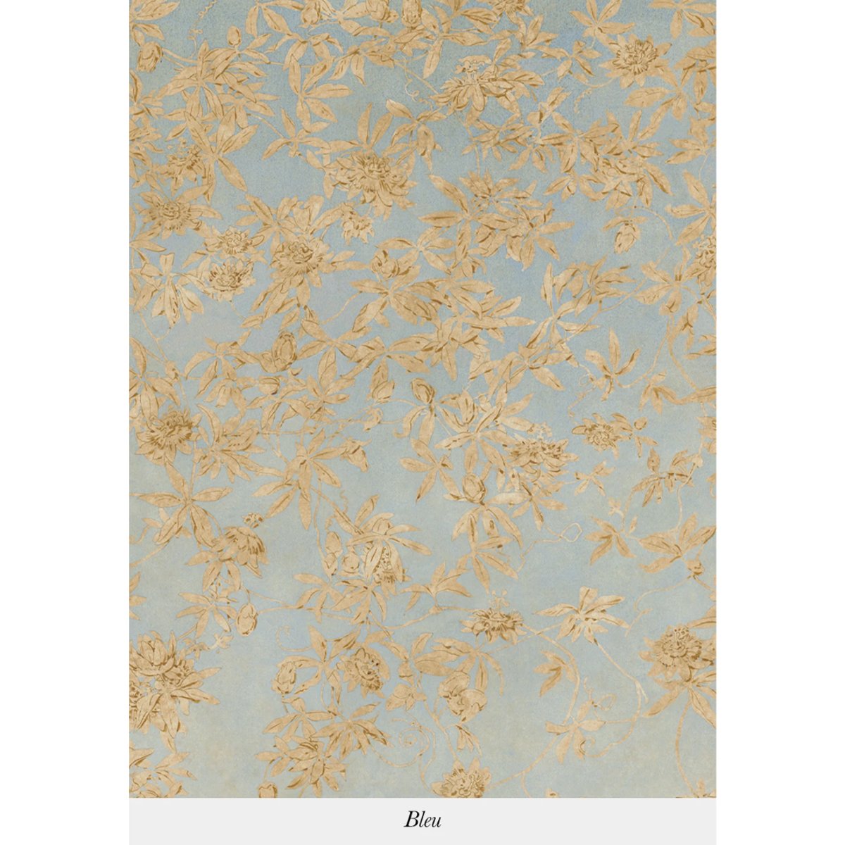 Isidore Leroy | Passiflores Isidore Leroy | Passiflores