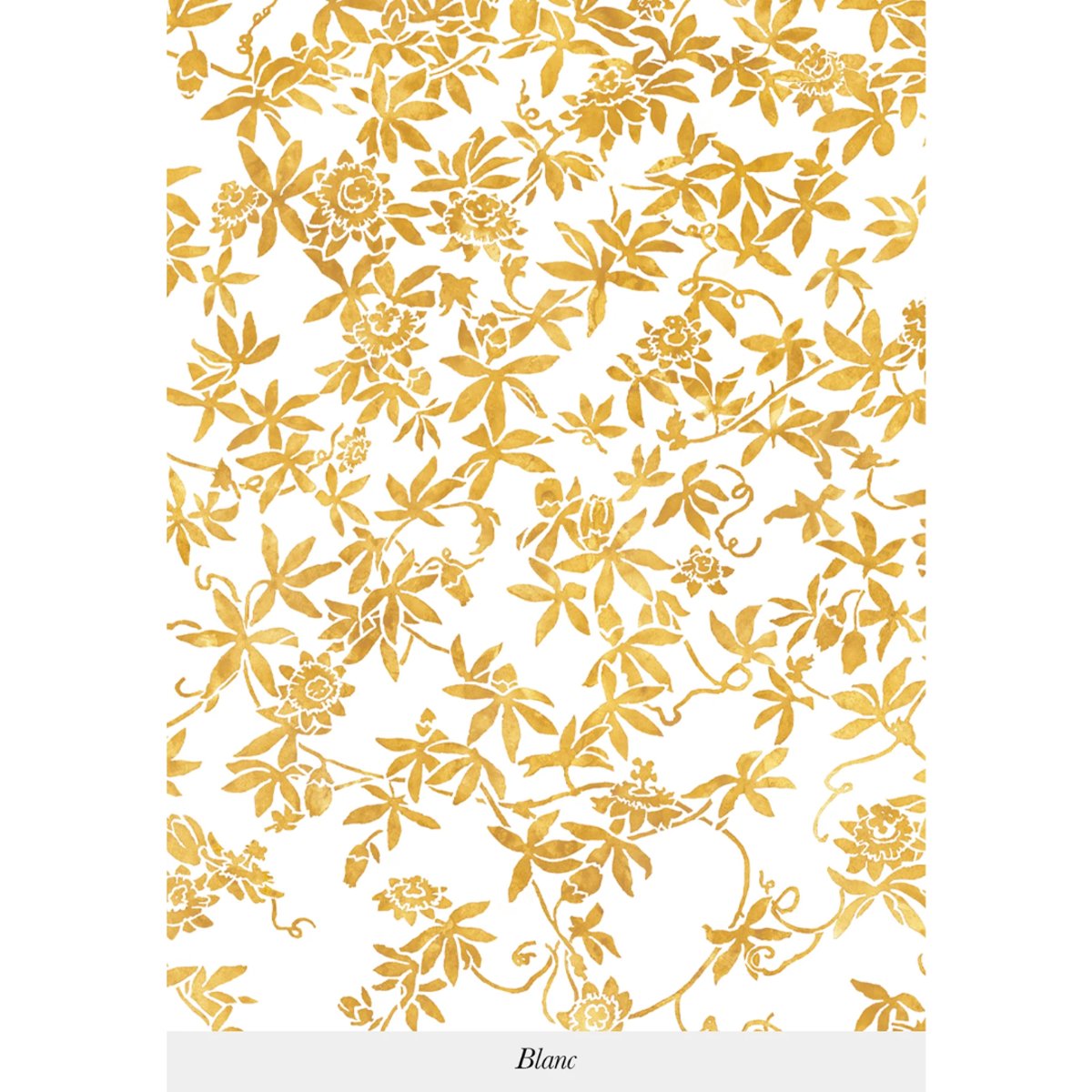 Isidore Leroy | Passiflores Isidore Leroy | Passiflores