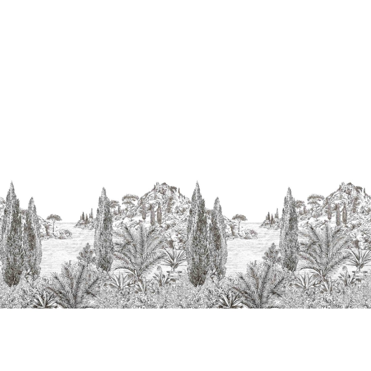 Isidore Leroy | Cypress Isidore Leroy | Cypress