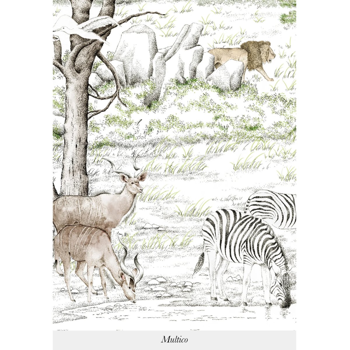 Isidore Leroy | Vallée du Rift Isidore Leroy | Vallée du Rift