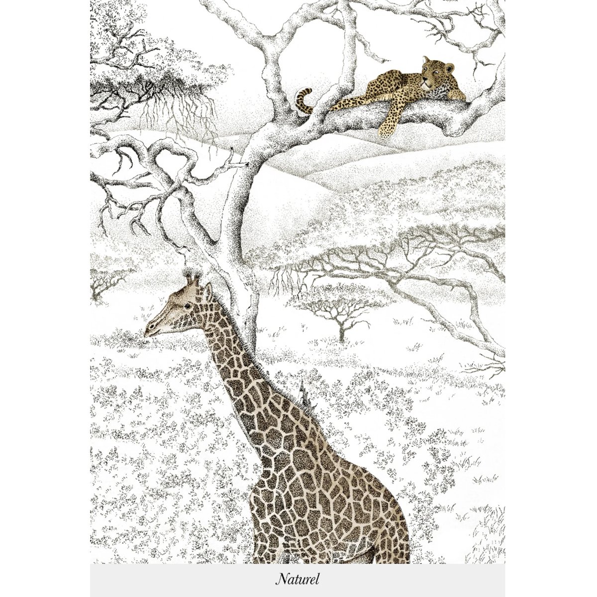 Isidore Leroy | Vallée du Rift Isidore Leroy | Vallée du Rift