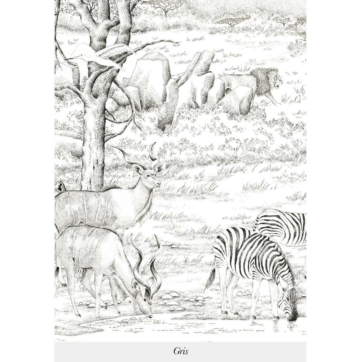 Isidore Leroy | Vallée du Rift Isidore Leroy | Vallée du Rift