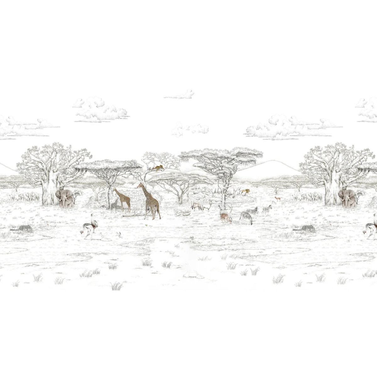 Isidore Leroy | Vallée du Rift Isidore Leroy | Vallée du Rift