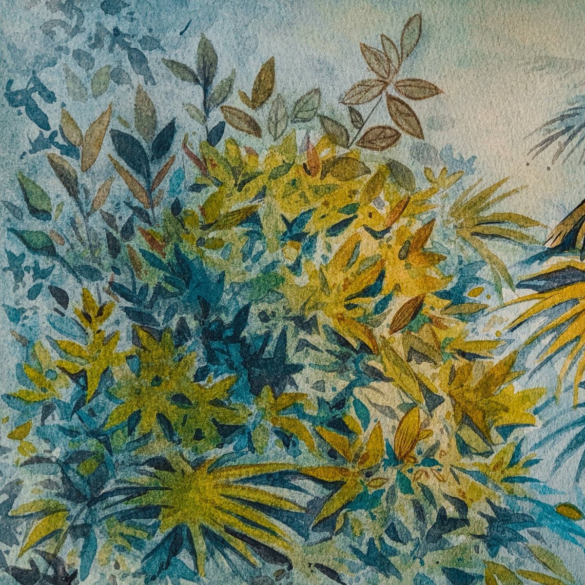 Honpo | Forêt de Brousse | HO-0048 Honpo | Forêt de Brousse | HO-0048